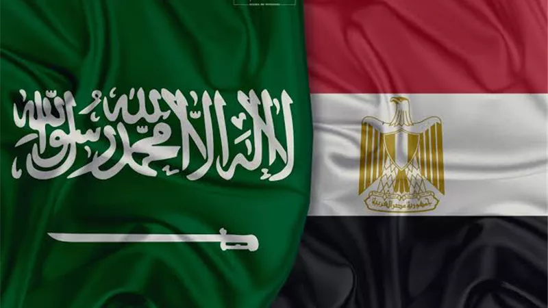 نجوم مصر تسيطر علي شاشات السينما والتلفزيون في السعودية