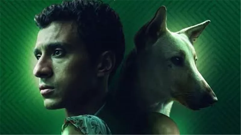 البحث عن منفذ لخروج السيد رامبو يحصد 4 جوائز فى ختام الكاثوليكي للسينما