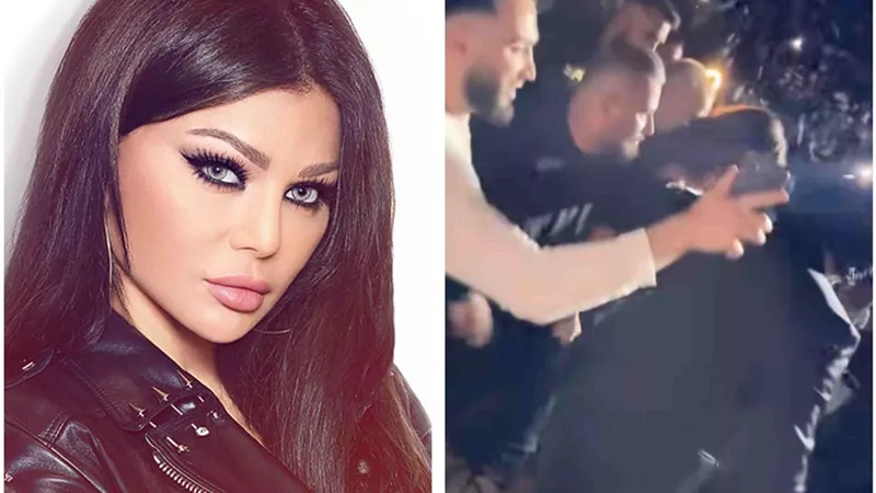 حصار جماهيري.. البودي جاردات تنقذ هيفاء وهبي فى ألمانيا