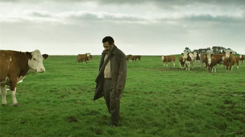 6 جوائز عربية في ختام مهرجان روتردام للفيلم العربي