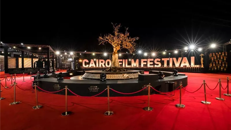 مهرجان القاهرة يشارك في فعاليات أسبوع الحزام والطريق للسينما بمهرجان شنجهاي 