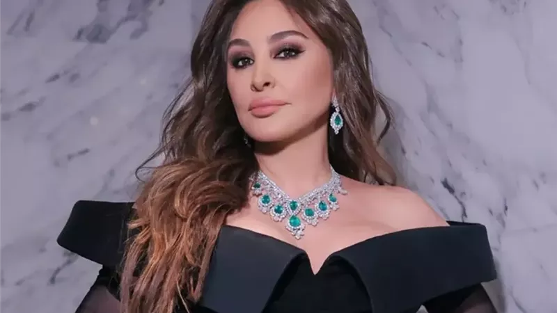 إليسا تدعم عزيز الشافعي في أزمة أغنية 
