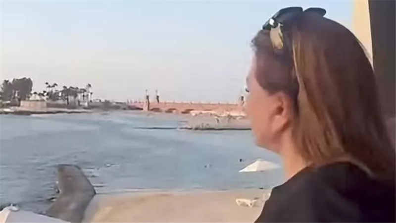 إلهام شاهين تستعيد ذكريات أعمالها في المنتزة: يا بختنا ببلدنا الغالية مصر