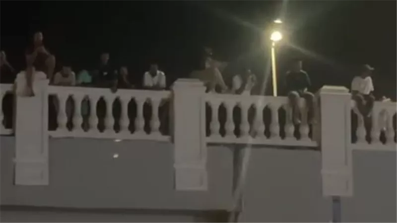 عشان يسمعوا تامر عاشور.. الجمهور يحتشد فوق كوبري قريب من المسرح