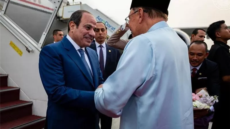 على أنغام 